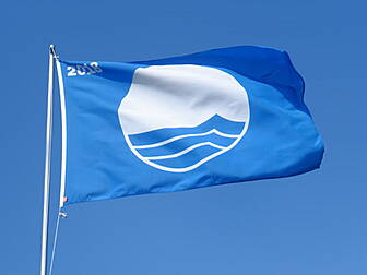 Record Number Of Blue Flag Bea...